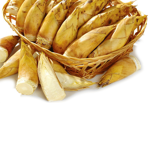 Winter Bamboo Shoots